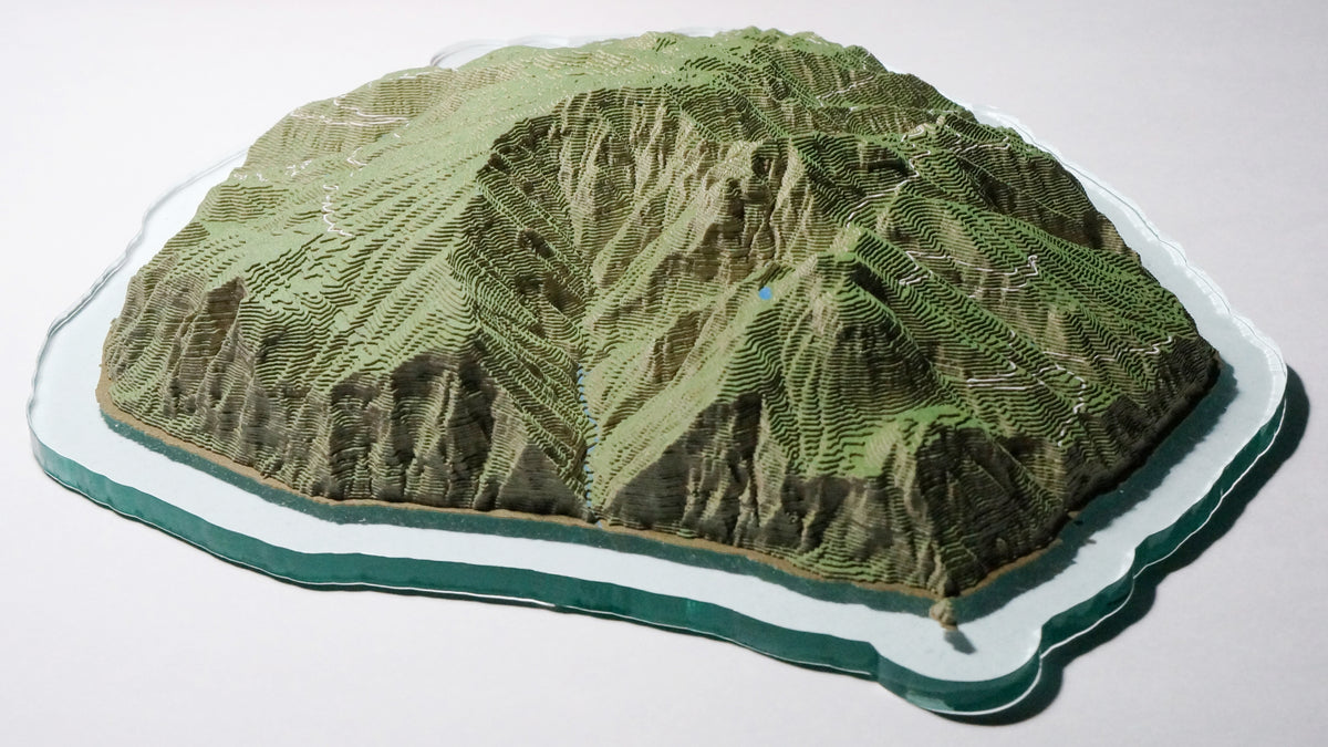 main_d7c83a71-b62a-462d-a1ae-