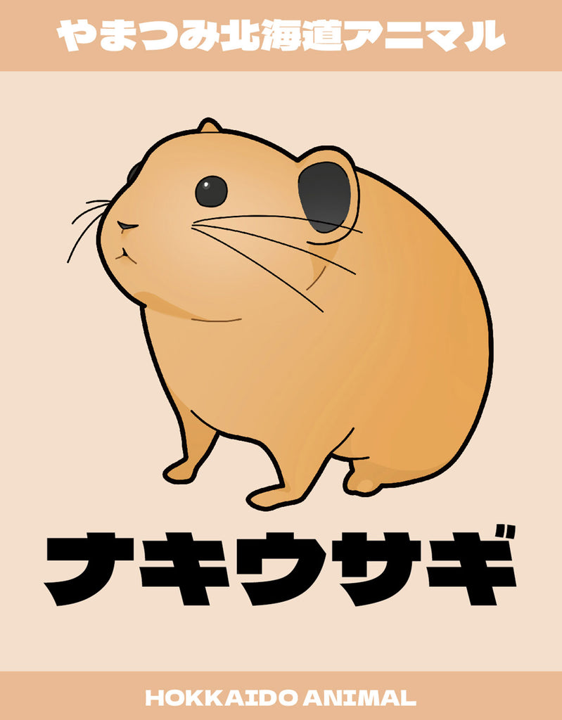 紙で作る山岳立体模型「やまつみ」 – やまつみ工房