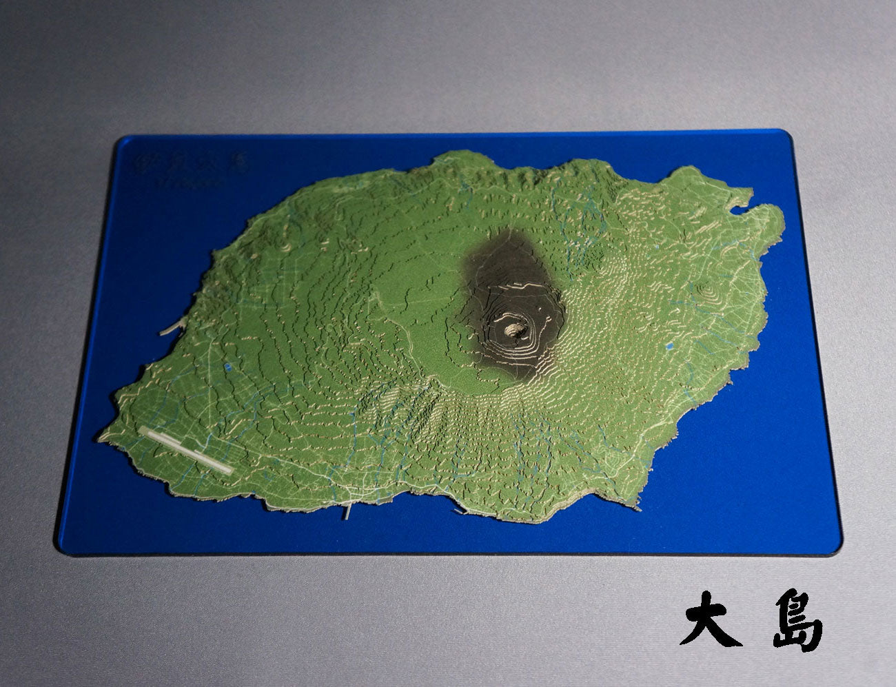 最終限界値下げ、半額‼️❰神津島産 ❱ミクラミヤマ❰ 黄紋型❱ 。入手不可能‼️ ooshima_9bd08016-0673-46ac-